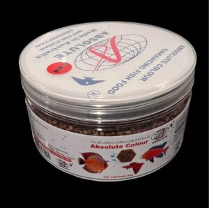 Home of Cichlids | Feeding Guide for Cichlids: From Fry to Adults (Schedules & Best Foods) Absolute colour