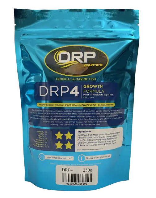 DRP 4