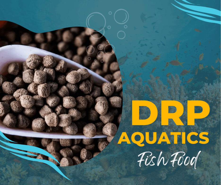 aquarium medication